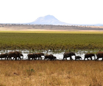 Image du film Les aventuriers voyageurs - Rêve d'Afrique