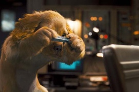 Une scène du film Cats & Dogs: The Revenge of Kitty Galore