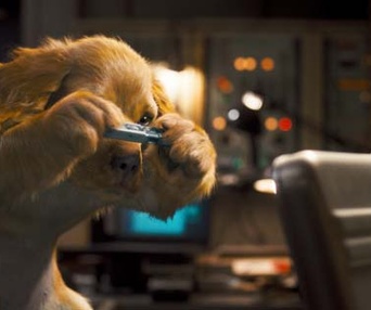 Une scène du film Cats & Dogs: The Revenge of Kitty Galore