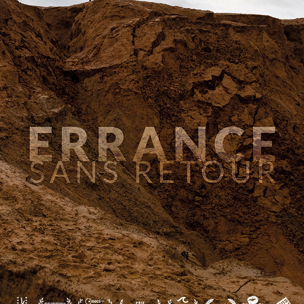 Affiche du film Errance sans retour