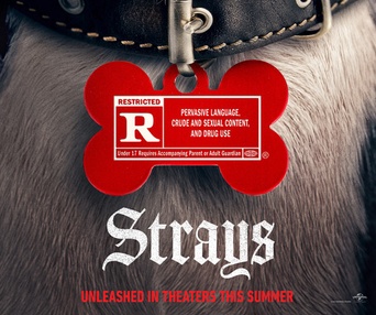 Affiche du film Strays