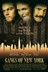 Affiche du film Les gangs de New York