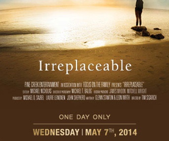 Affiche du film Irreplaceable