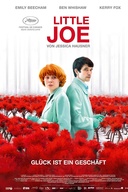 Affiche du film Little Joe