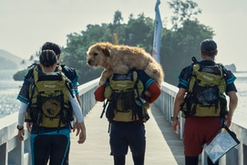 Une scène du film Arthur the King