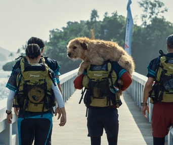 Une scène du film Arthur the King