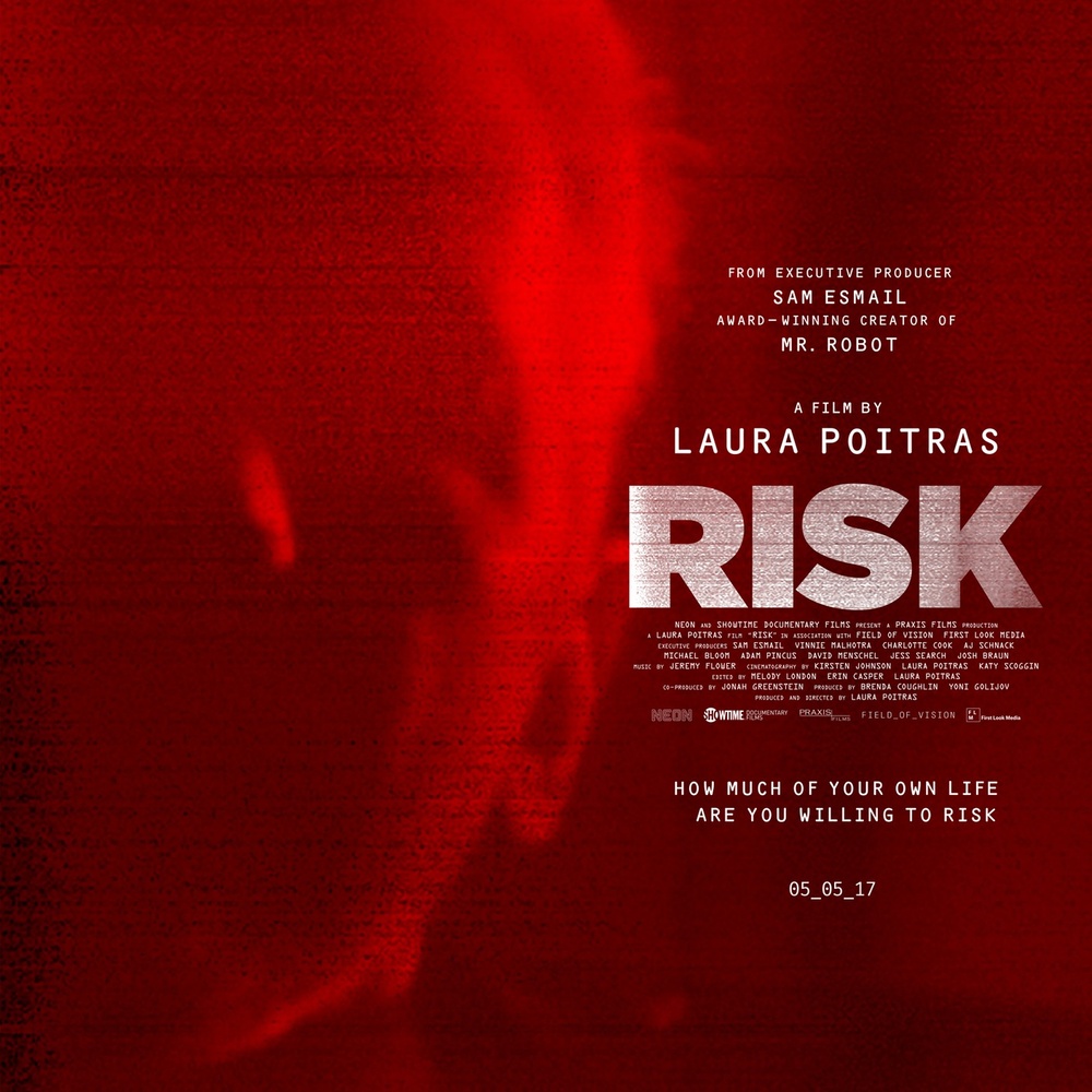 Affiche du film Risk