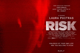 Affiche du film Risk