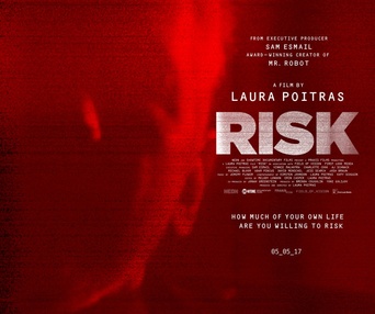 Affiche du film Risk