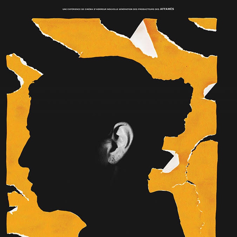 Affiche du film VFC