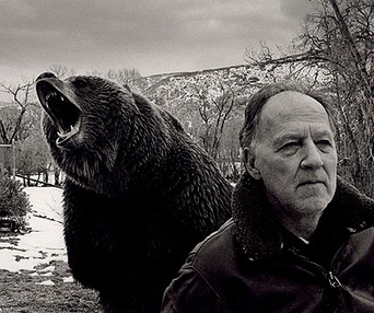 Scène du film Grizzly Man