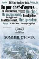 Affiche du film Sommeil d'hiver