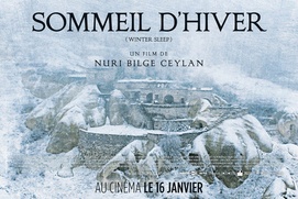 Affiche du film Sommeil d'hiver