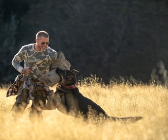 Image du film Heart of the Beast