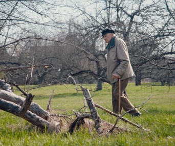 Image du film À la lumière du soir