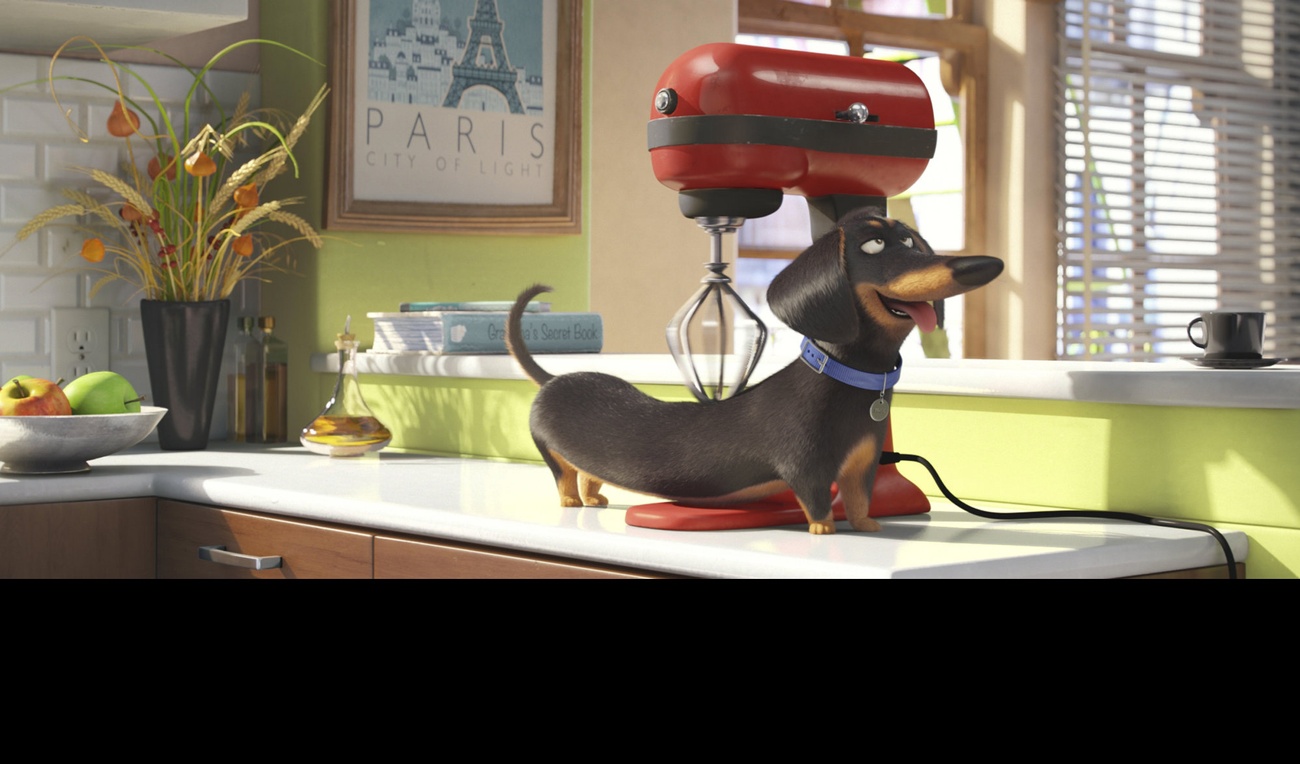 Bande-annonce en français du film d'animation Comme des bêtes