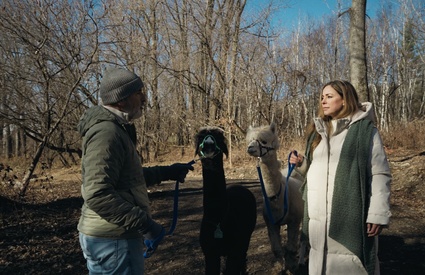 Si on s'aimait Célébrités