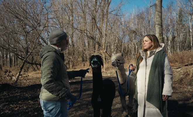 Si on s'aimait Célébrités