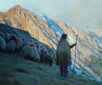 Image du film The Legend of Ochi