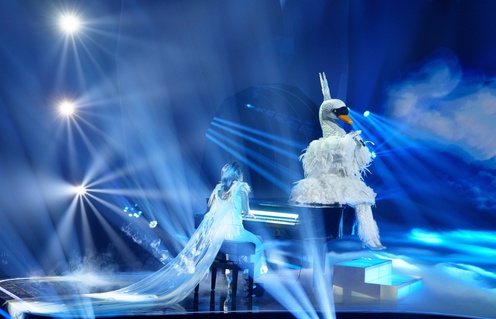 Cygne