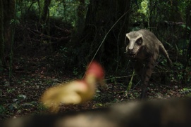 Image du film T. REX: The Greatest of All Tyrants