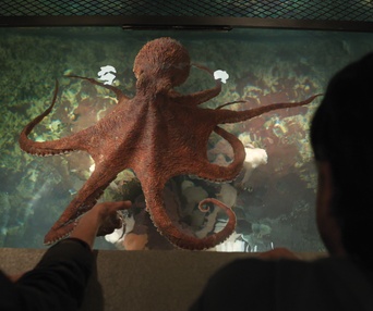 Images du film Remarkably Bright Creatures