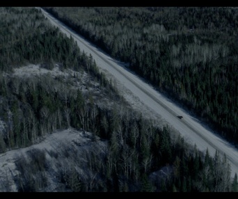 Image du film Hair of the Bear