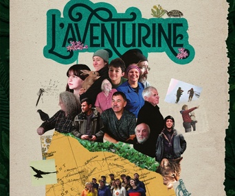 Image du film L'aventurine