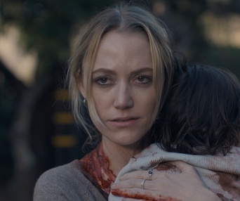 Image du film The Hand That Rocks the Cradle