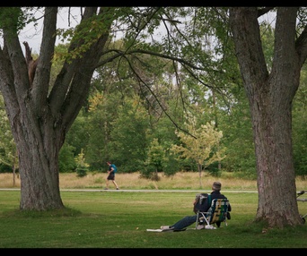 Images du film Forêts urbaines