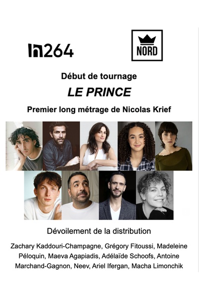 Affiche du dévoilement de la distribution du film Le prince